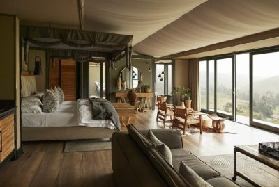 Salamander Bluevolution ARTLINE